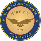 Gold Hire Vets Award