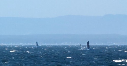 Bluebottle surveillance USVs undertake operations during a Royal Australian Navy-led experimentation activity at Jervis Bay in 2023.