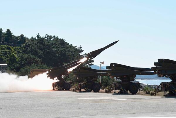 
        The RoKAF has formally retired its ageing MIM-23 HAWK SAM systems, according to a 7 July report by the MND's
        Kookbang Ilbo
        newspaper.
       (RoKAF)