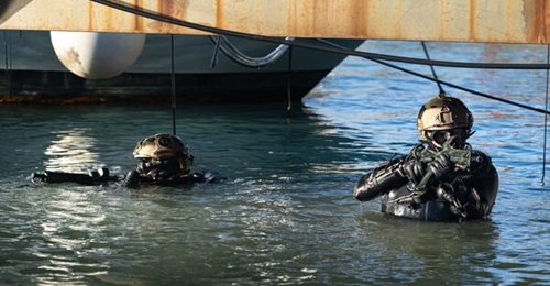 SOF combat divers emerge from the water in La Spezia, Italy, as part of Exercise 'Bold Machina 2024'.
