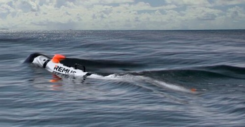 The Lionfish SUUV is based on the REMUS 300 UUV shown here.