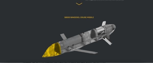 A screen-grab from Defence Intelligence of Ukraine website showing a graphic depicting a Russian S8000 cruise missile.