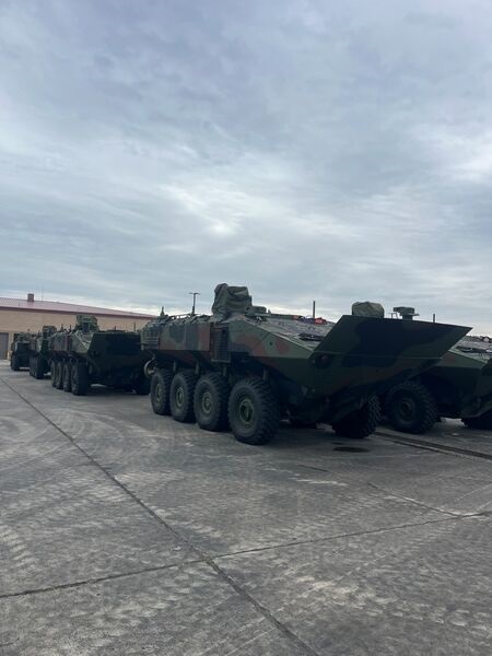 Amphibious Assault Vehicles swam in the Pacific Ocean off the coast of Camp Pendleton, California, during Exercise 'Quarterly Underway Amphibious Readiness Training 25.3'.