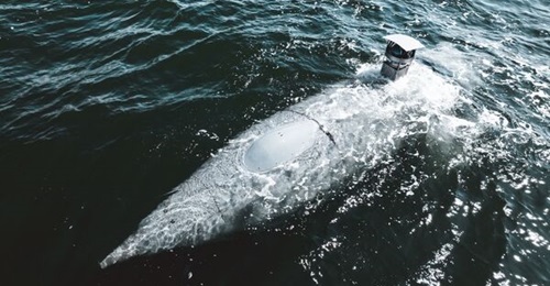 The Greyshark 'Bravo' AUV is pictured on sea trials in late July 2025.