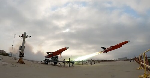 NAVAIR's PMA-281 and PMA-208 programmes demonstrated AI-based autonomy on the BQM-177A aerial target during a 5 August test event at the Point Mugu Sea Test Range, California.