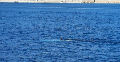A Euroatlas Greyshark AUV being demonstrated off the coast of Sesimbra, Portugal, during NATO Exercise 'REPMUS 25'.