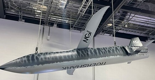 MGI Engineering unveiled a full-scale mock-up of its TigerShark OWE at DSEI 2025 in September.