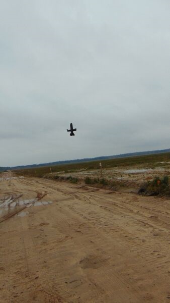 A Blaze interceptor in flight during the Defsecintel-Origin Baltic Drone Wall demonstration held at Latvia's Selonia training range on 5 November.