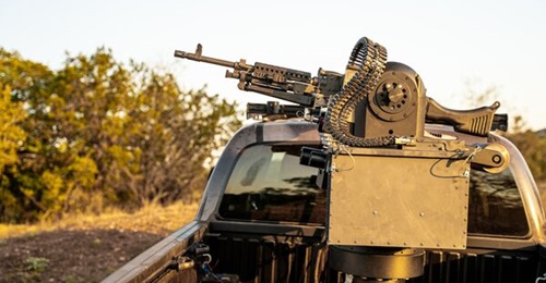 Bullfrog RCWS.