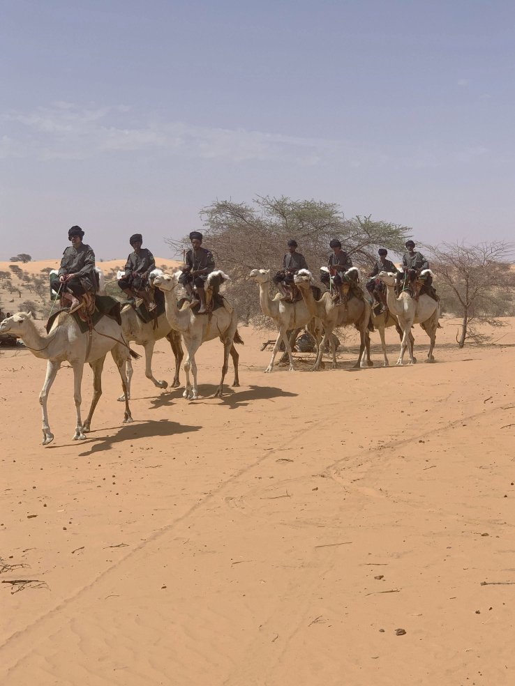 The Nomadic Group now has some 370 camels, allowing it to significantly extend its coverage of the Mauritanian hinterland once personnel recruitment and training are completed. (THEMIIS)